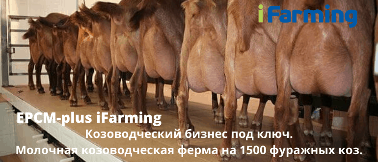 EPCM plus контракт с ООО "Интеллектуальное животноводство" позволяет создать агробизнес под ключ с гарантированным результатом.